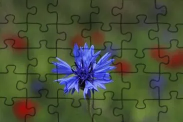 פאזל של Imagem
