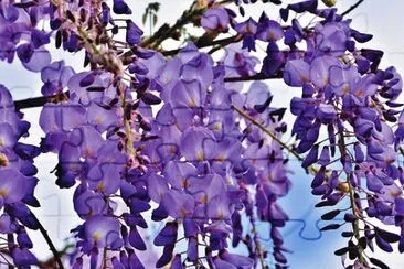 Imagem jigsaw puzzle