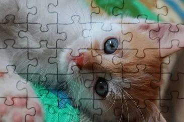 Imagem jigsaw puzzle