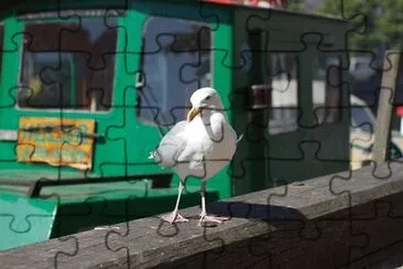 Imagem jigsaw puzzle
