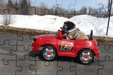  "Camaro Sue 's " first drive of the season