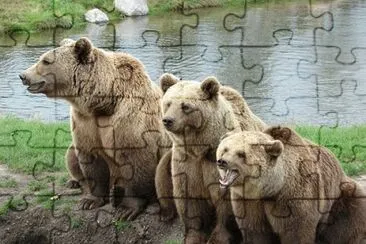 Imagem jigsaw puzzle