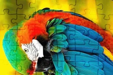 natural jigsaw puzzle
