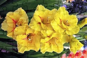flores jigsaw puzzle