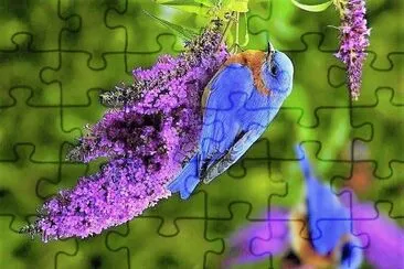 natural jigsaw puzzle
