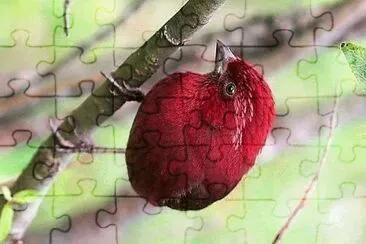 natural jigsaw puzzle
