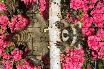 natural jigsaw puzzle