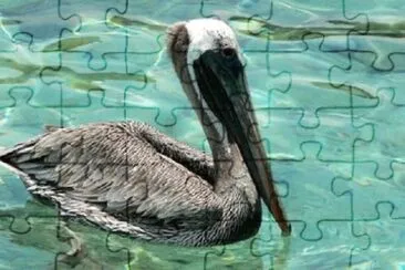 Imagem jigsaw puzzle