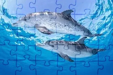 Imagem jigsaw puzzle