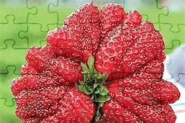 Imagem jigsaw puzzle