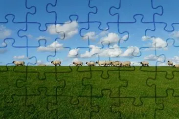 Imagem jigsaw puzzle