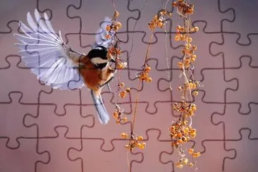 Imagem jigsaw puzzle