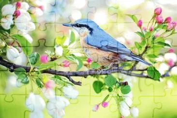 Imagem jigsaw puzzle