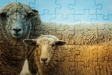 Imagem jigsaw puzzle