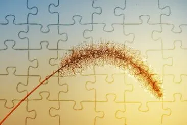 Imagem jigsaw puzzle