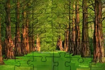 Imagem jigsaw puzzle