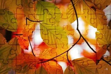 Imagem jigsaw puzzle