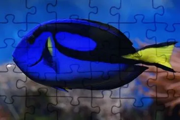 Imagem jigsaw puzzle