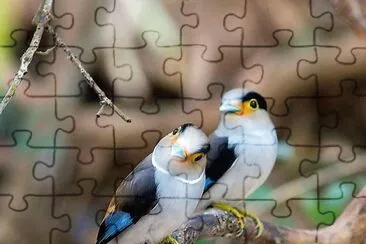 natural jigsaw puzzle