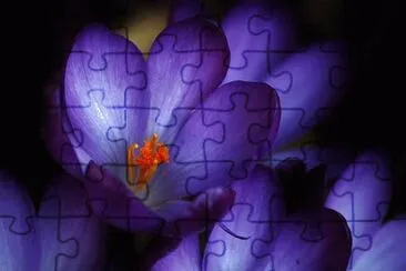 OK jigsaw puzzle