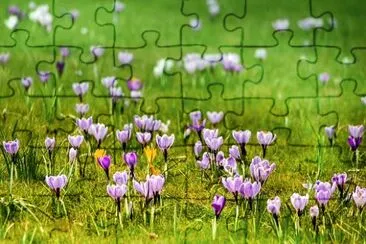 OK jigsaw puzzle
