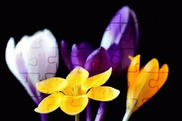 OK jigsaw puzzle