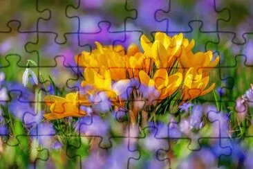 OK jigsaw puzzle