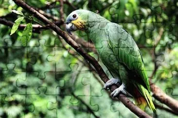 Imagem jigsaw puzzle