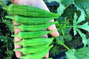 natural jigsaw puzzle