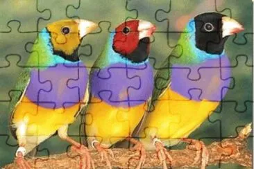 Imagem jigsaw puzzle