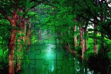 Imagem jigsaw puzzle