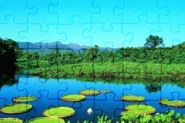 Imagem jigsaw puzzle