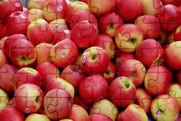 Imagem jigsaw puzzle
