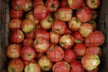 Imagem jigsaw puzzle