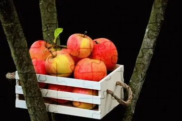 Imagem jigsaw puzzle