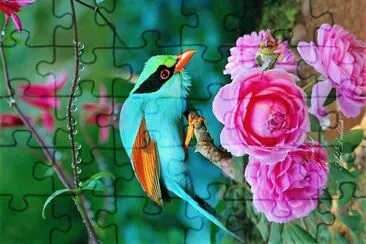 natural jigsaw puzzle