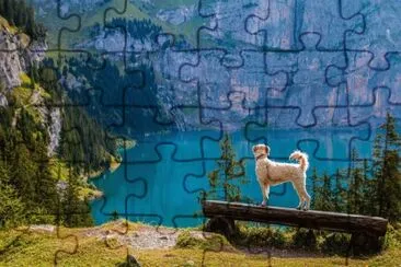 × ×•×£ jigsaw puzzle