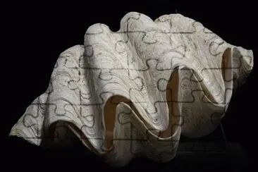 Imagem jigsaw puzzle