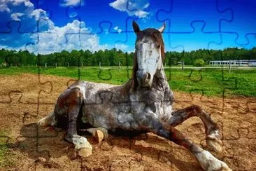 Imagem jigsaw puzzle