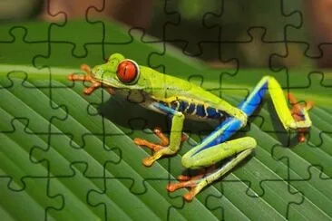 Imagem jigsaw puzzle
