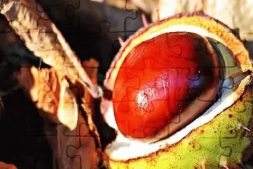Imagem jigsaw puzzle
