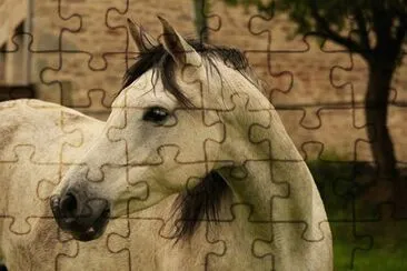 Imagem jigsaw puzzle