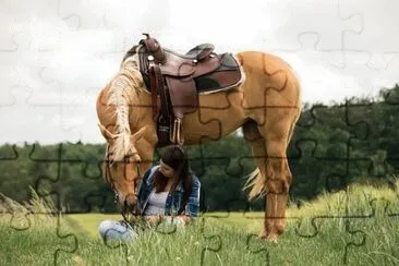 Imagem jigsaw puzzle