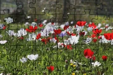 Imagem jigsaw puzzle