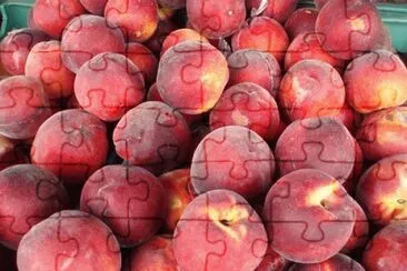 Imagem jigsaw puzzle