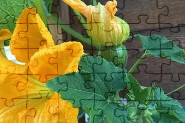 Imagem jigsaw puzzle