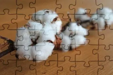 Imagem jigsaw puzzle
