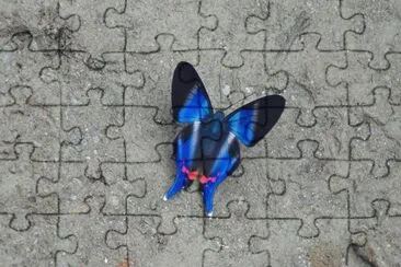 MARIPOSA jigsaw puzzle