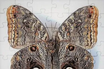 natural jigsaw puzzle