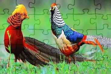 natural jigsaw puzzle